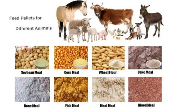 Millet Meal - Image 2