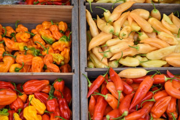 Fresh Peppers - Image 3