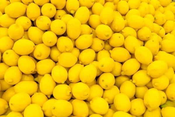 Lemon - Image 6