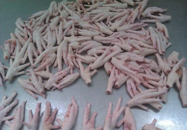 Chicken Feet & Paws - Image 8