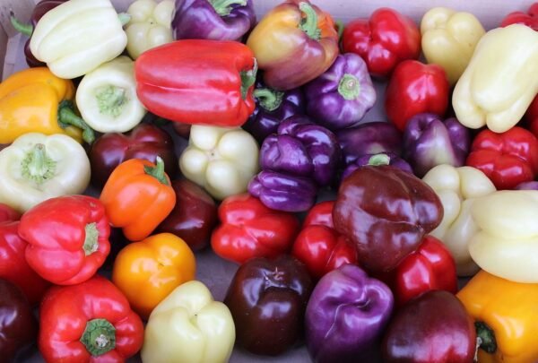Fresh Peppers - Image 2