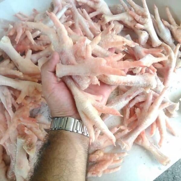 Chicken Feet & Paws - Image 5