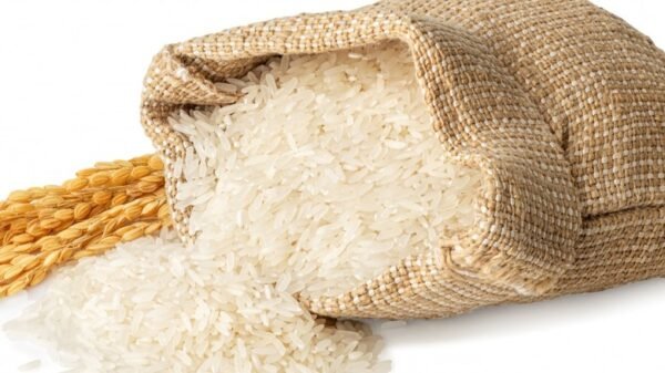 Rice - Image 8
