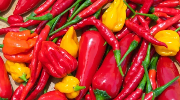 Fresh Peppers - Image 8