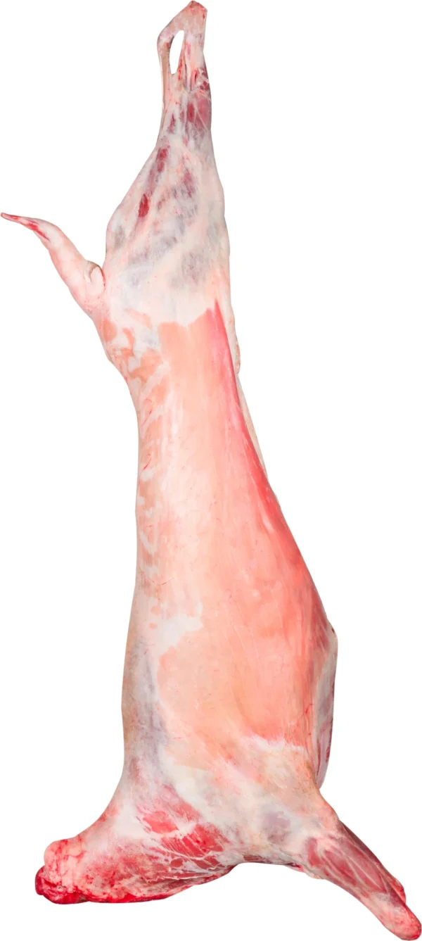 Sheep Meat - Image 13